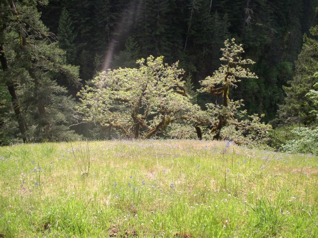 5.5.06 Eagle Creek 112 